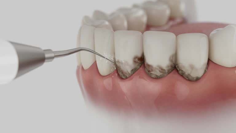 Reliable Dental contractor in Rochester Hills, MI by Dentist Open Now